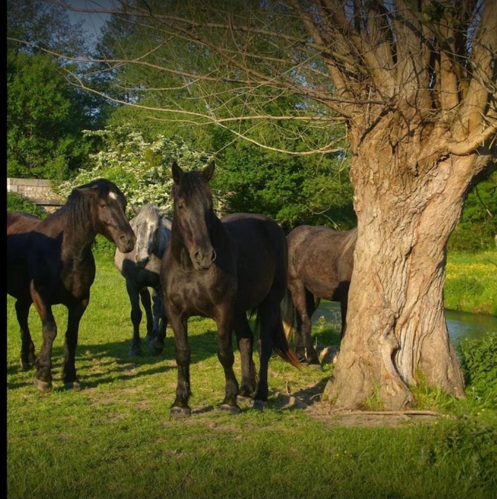 La Meuniere Villa Jouy  Buitenkant foto